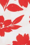 1_org_zoom-6780.jpg