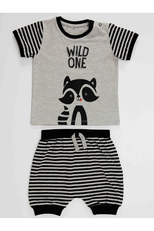 Denokids Raccoon Boys Baby T-Shirt and Capri Shorts Set