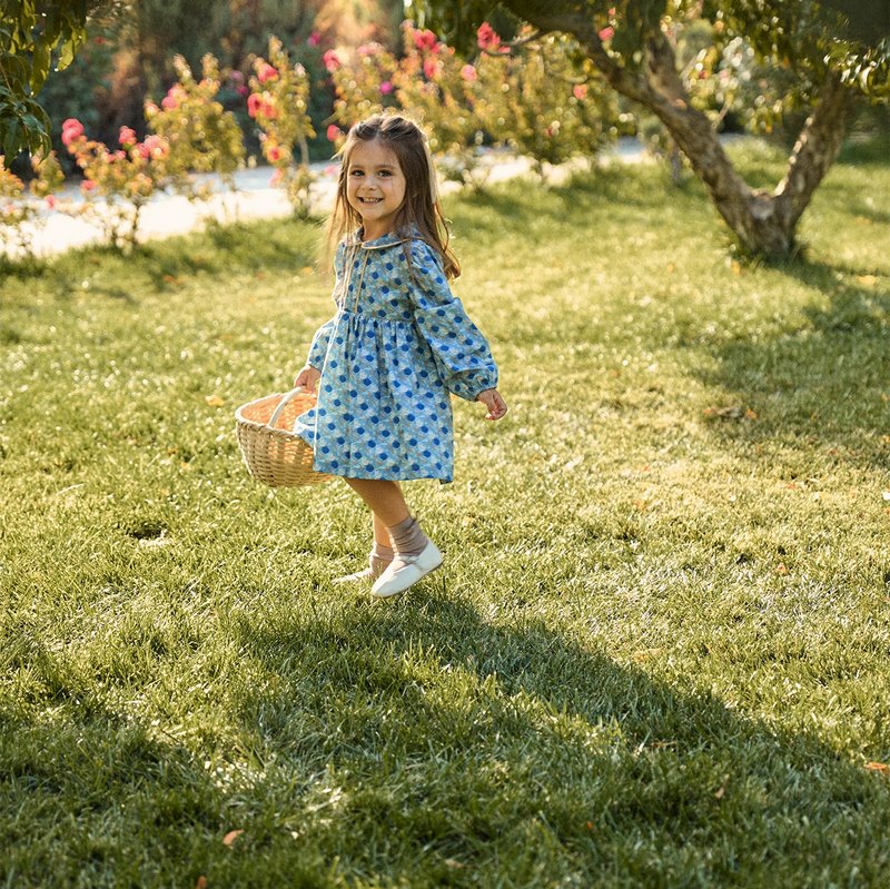 58A8495.png Floral Velvet Trimmed Blue Cotton Dress