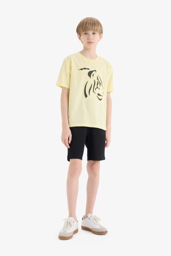 Boys' Two-Piece Set Printed Short Sleeve T-Shirt with Elastic Waist Shorts