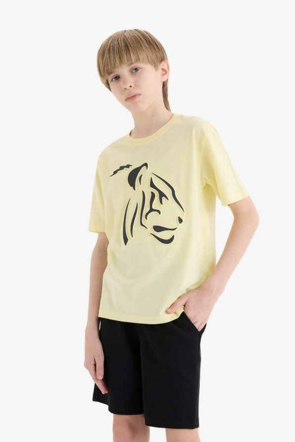 Boys' Two-Piece Set Printed Short Sleeve T-Shirt with Elastic Waist Shorts