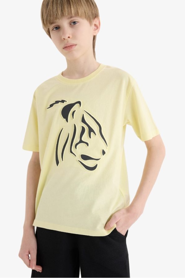 Boys' Two-Piece Set Printed Short Sleeve T-Shirt with Elastic Waist Shorts