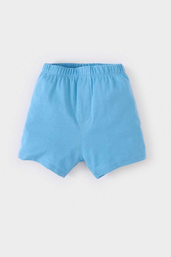 Boys' 2-Piece Set Printed Short Sleeve T-Shirt and Elastic Waist Shorts
