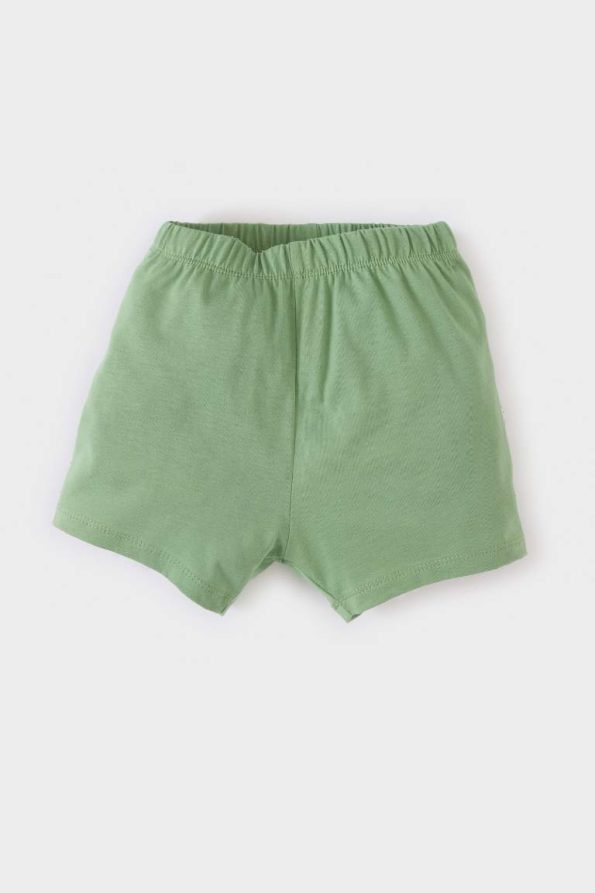 Boys' 2-Piece Set Printed Short Sleeve T-Shirt and Elastic Waist Shorts