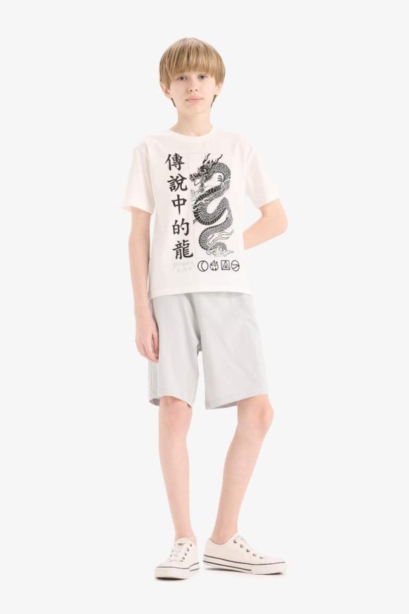 Boys' 2-Piece Set with Printed Short Sleeve T-Shirt and Elastic Waist Shorts