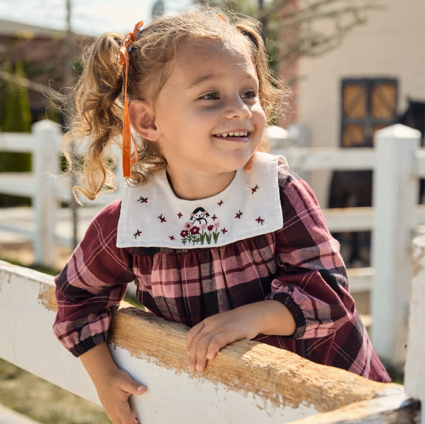 Plaid Burgundy Cotton Dress