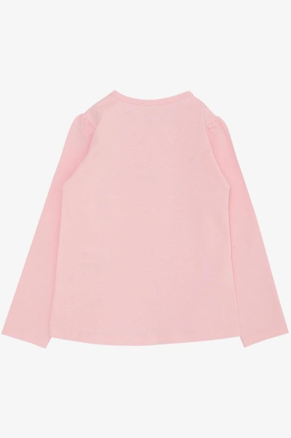 Girls' Long Sleeve T-Shirt with Embroidered Swan Print in Pink (2-3 Years)