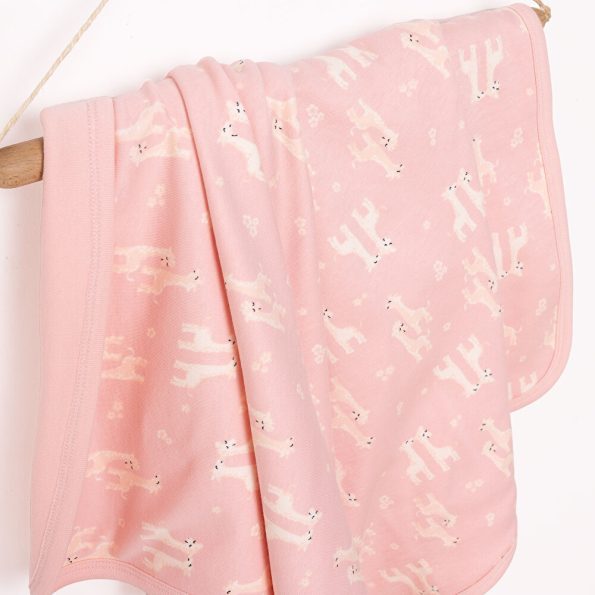 Blush Pink Blanket